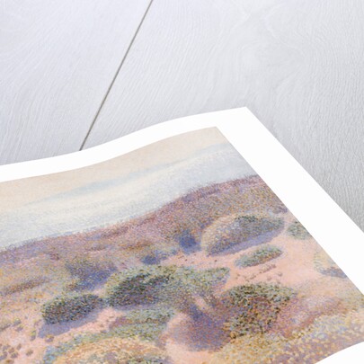 The Beach of Vignasse by Henri Edmond Cross