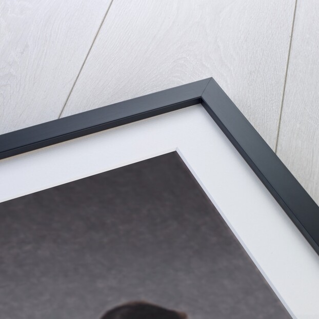 Interior with Young Woman from Behind by Vilhelm Hammershøi