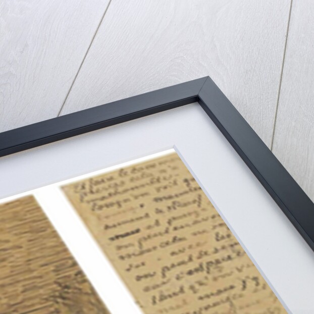 The Yellow House (The street), Letter to Theo from Arles, Saturday, 29 September 1888 by Vincent van Gogh