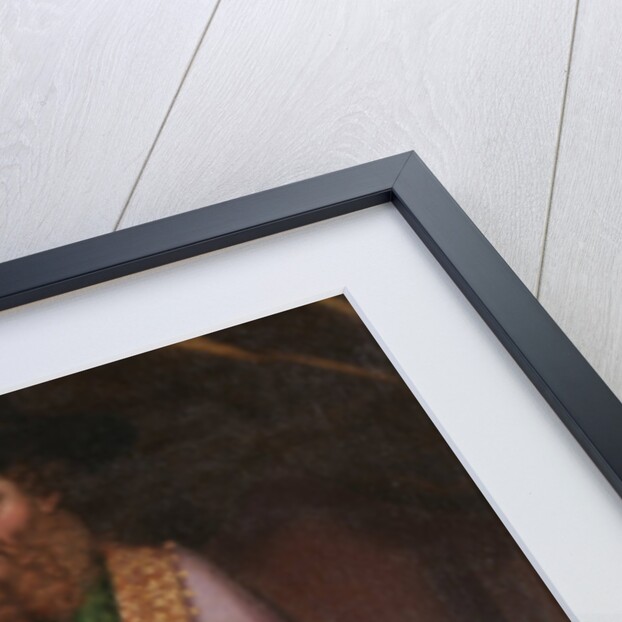 Amadeus II, Count of Savoy by Anonymous