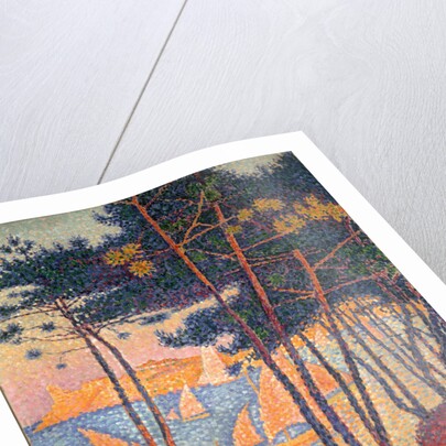 Sails and pines by Paul Signac