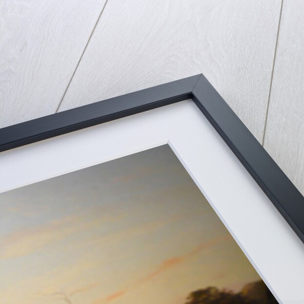 Meadow Elves (The fairies of meadow) by Nils Jakob Blommér