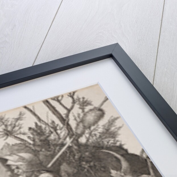 Knight, Death and the Devil by Albrecht Dürer