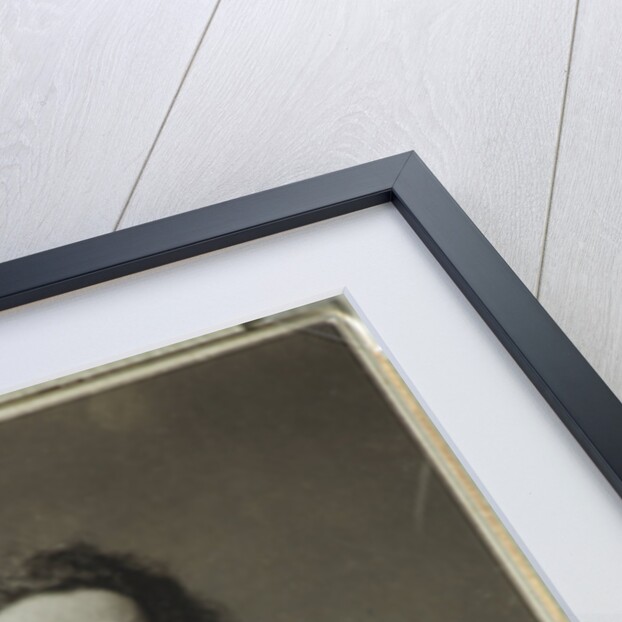 Portrait of the artist Ilya Repin by Photo studio H. Rentz & F. Schrader