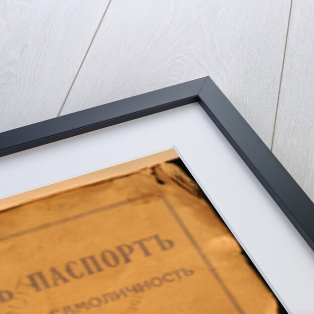 The Nansen passport by Anonymous