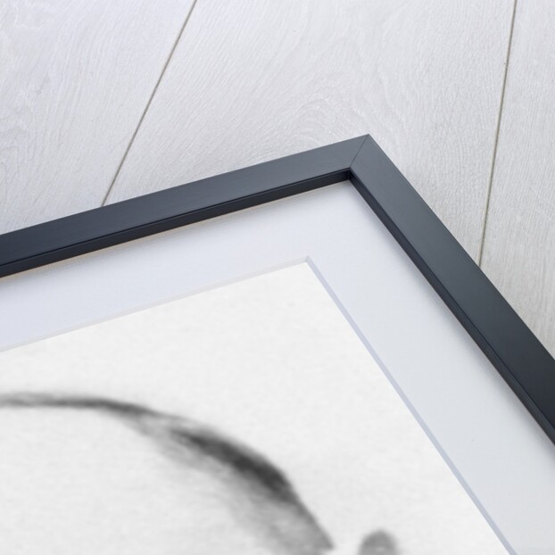 Stepan Bandera by Anonymous