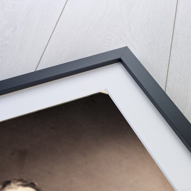 The chemist Justus von Liebig by Franz Hanfstaengl