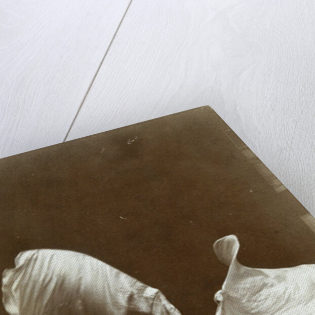 Loie Fuller in La danse Blanche, 1897 by Isaiah West Taber