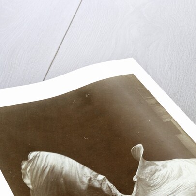 Loie Fuller in La danse Blanche, 1897 by Isaiah West Taber