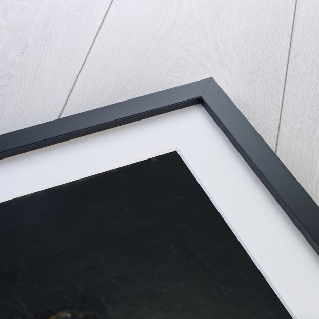 Portrait of the Actress and Singer, Countess Praskovya Sheremetyeva (Zhemchugova), Early by Anonymous