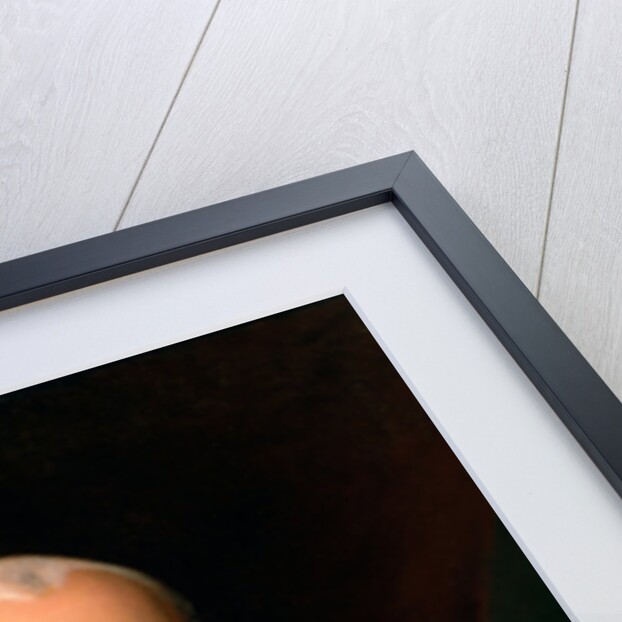 Portrait of James Madison, 1816 by John Vanderlyn