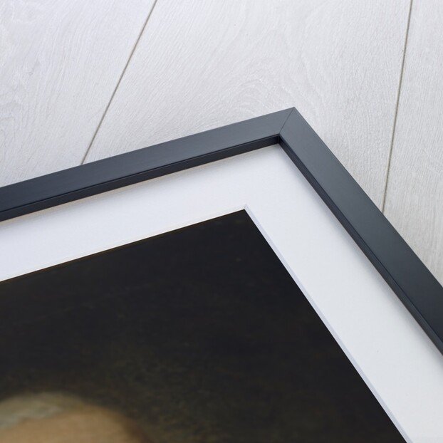 Portrait of the Pavel Stepanovich Runich, c. 1800 by Vladimir Lukich Borovikovsky