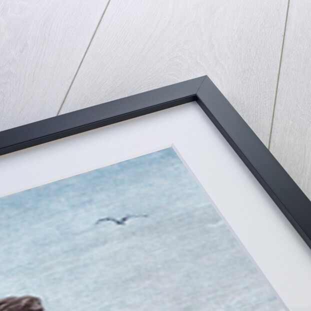 Ibn Battuta in Egypt, Mid of the 19th century by Paul Dumouza