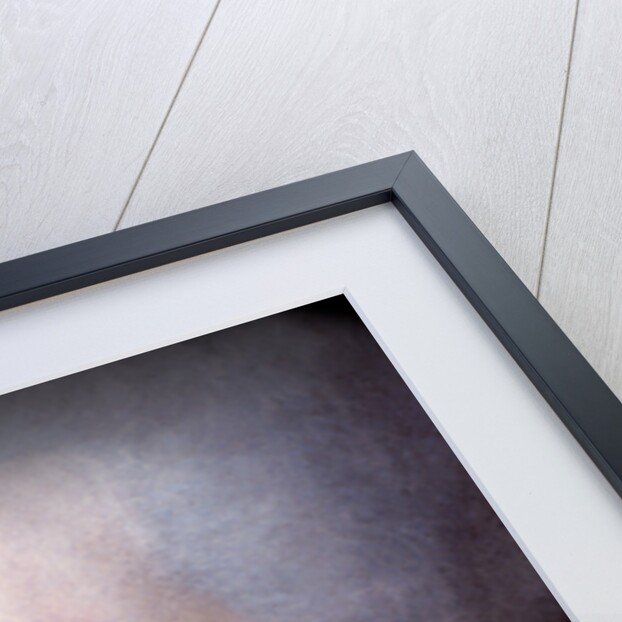 Portrait of Olympe de Gouges (Detail), Late 18th century by Alexandre Kucharski