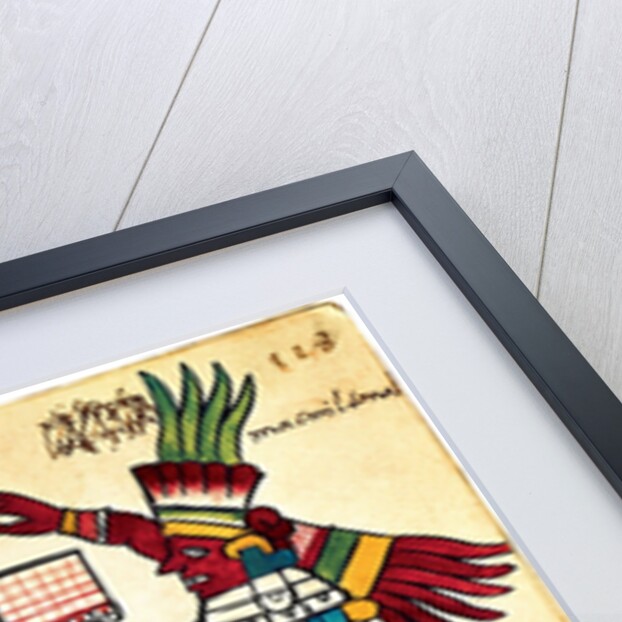 Cacao tree from the Codex Tudela, 1553 by Pre-Columbian art