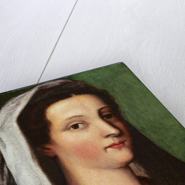 Portrait of Giulia Gonzaga, 16th century by Sebastiano del Piombo