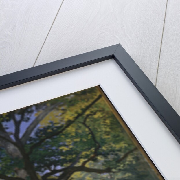 The Bodmer Oak, Fontainebleau Forest, 1865 by Claude Monet