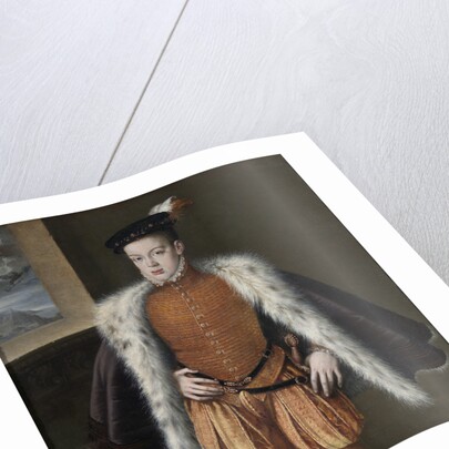 Don Carlos, Prince of Asturias, 1555-1559 by Alonso Sánchez Coello