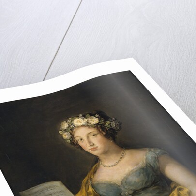 Portrait of Manuela Téllez Girón y Pimentel, Duchess of Abrantes, 1816 by Francisco de Goya