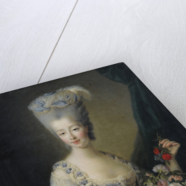 Princess Maria Theresa of Savoy, Countess of Artois by Jean-Baptiste André Gautier Dagoty