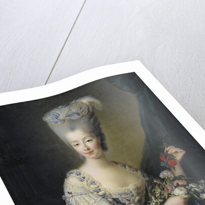 Princess Maria Theresa of Savoy, Countess of Artois by Jean-Baptiste André Gautier Dagoty
