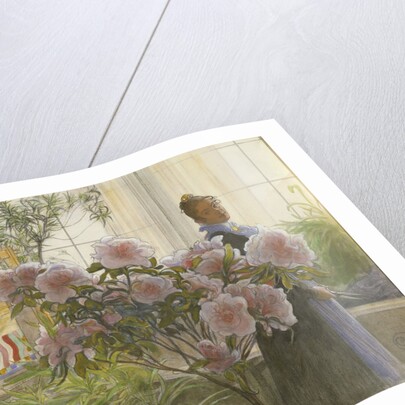 Azalea, 1906 by Carl Larsson
