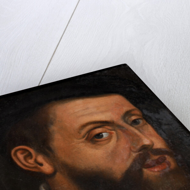 Portrait of the Emperor Charles V by Jan Cornelisz. Vermeyen