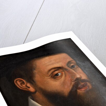 Portrait of the Emperor Charles V by Jan Cornelisz. Vermeyen