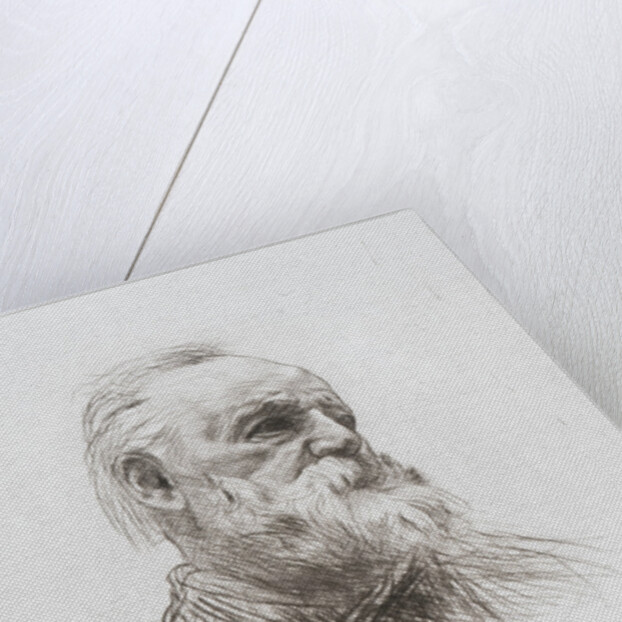 Victor Hugo, 1884 by Auguste Rodin
