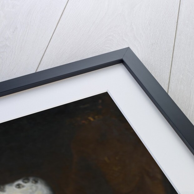 Sophia Dorothea of Hanover, Queen consort in Prussia by Antoine Pesne School