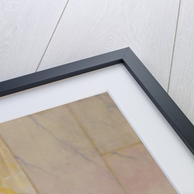 Bramante Showing Plans For Basilica of St. Peter To The Pope by Edwin Howland Blashfield