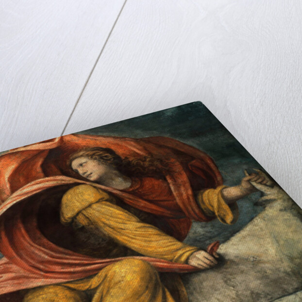 The Rape of Europa by Bernardino Luini