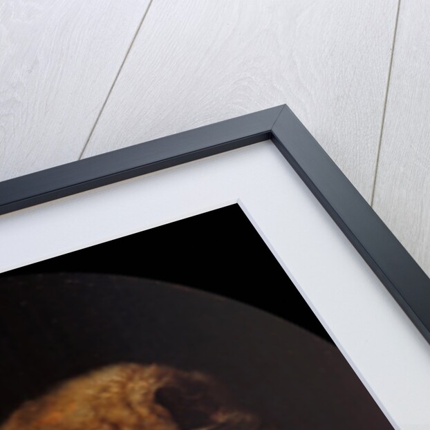 Portrait of Rembrandts Mother by Gerard Dou