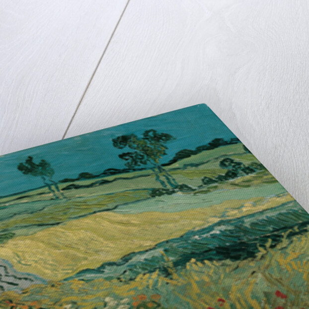 The Plain of Auvers, 1890 by Vincent van Gogh