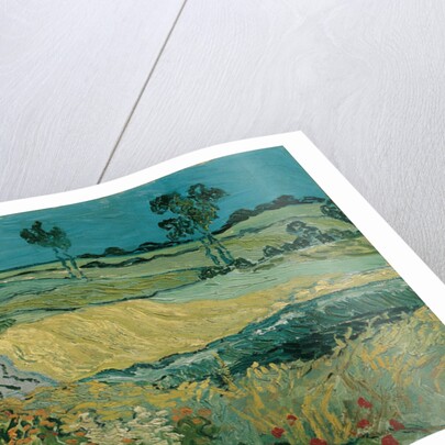 The Plain of Auvers, 1890 by Vincent van Gogh