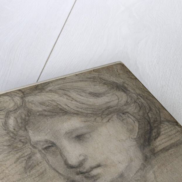 Head of an Angel, c. 1520 by Raphael