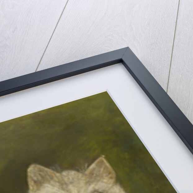 The Bride and Groom by Louis Wain