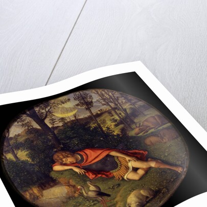 Sleeping Endymion, 1505-1508 by Giovanni Battista Cima da Conegliano