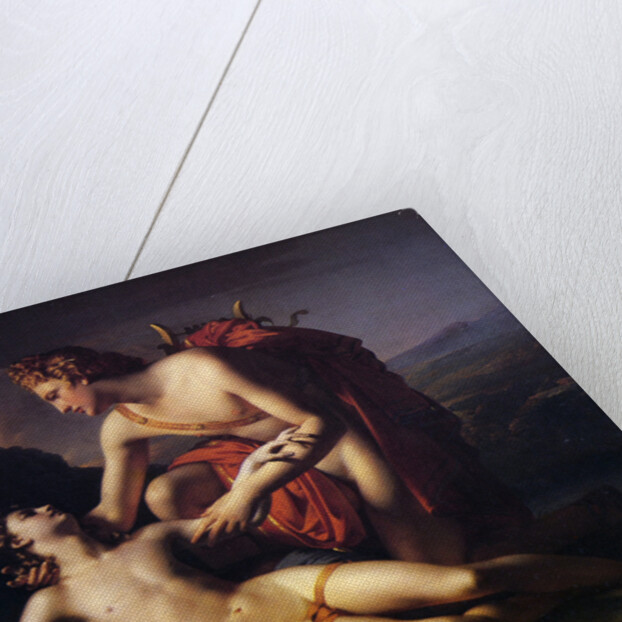 Apollo and Cyparissus, 1820 by Claude Marie Paul Dubufe
