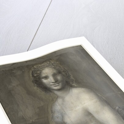 Monna Vanna, ca 1515 by Leonardo da Vinci