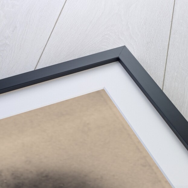 Portrait of August Zang by Rosa Jenik