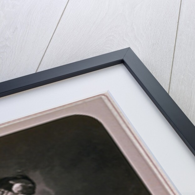 Princess Ekaterina Mikhailovna Dolgorukova, 1870s by Sergei Lvovich Levitsky