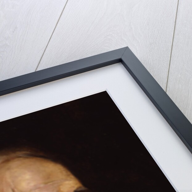 Portrait of Theodor Mommsen Detail, 1897 by Franz von Lenbach
