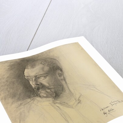 Portrait of Octave Mirbeau, ca 1893 by Auguste Rodin