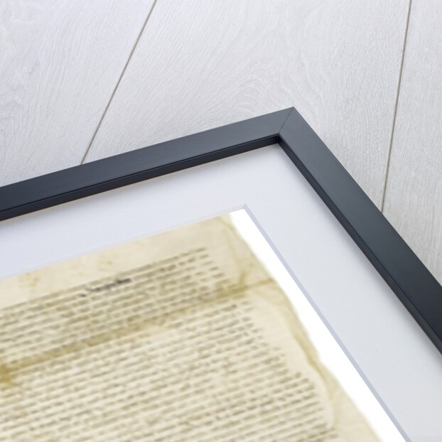 Document signed by Queen Elizabeth I with Royal Great Seal, 1564 by Historical Document