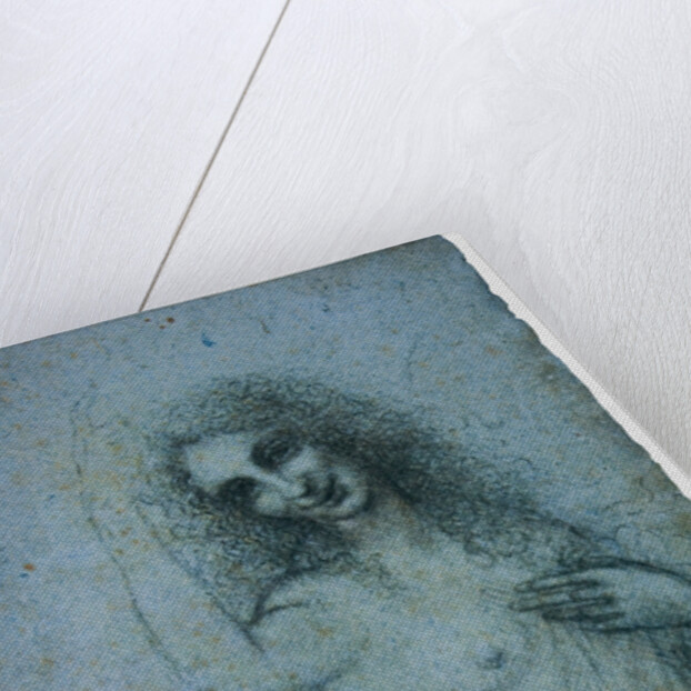 The Angel in the Flesh, ca 1514 by Leonardo da Vinci