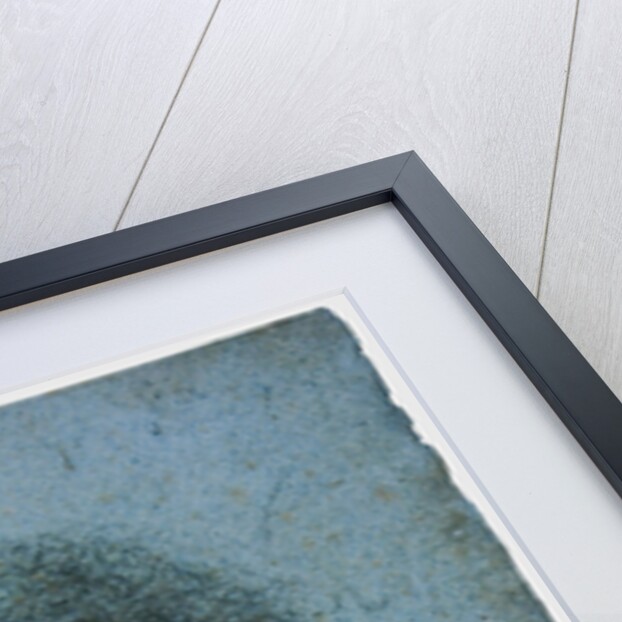 The Angel in the Flesh, ca 1514 by Leonardo da Vinci