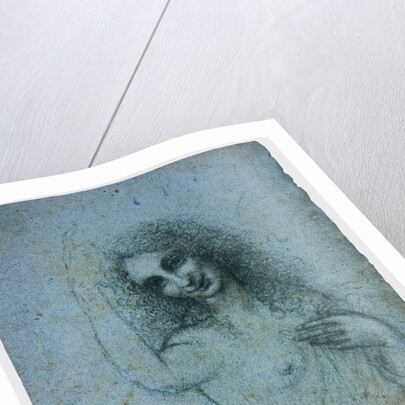 The Angel in the Flesh, ca 1514 by Leonardo da Vinci