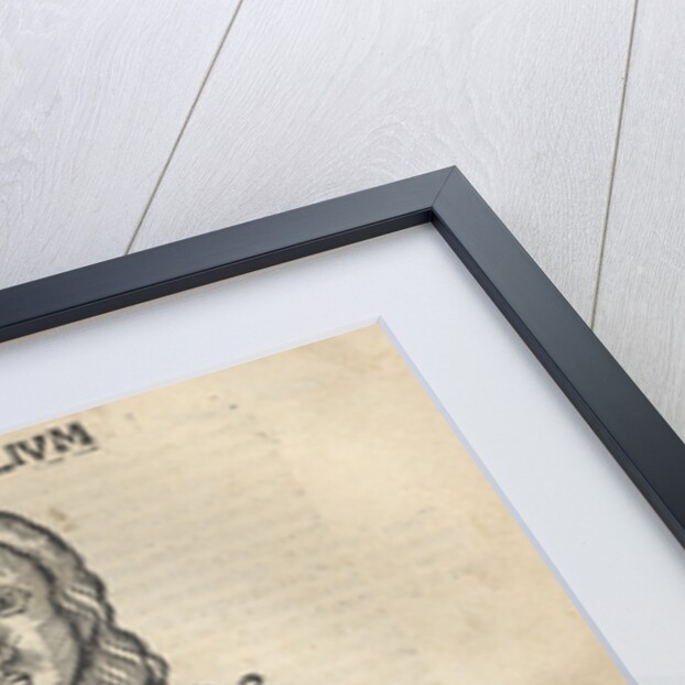 Margarita Philosophica. Anatomy, 1504 by Gregor Reisch