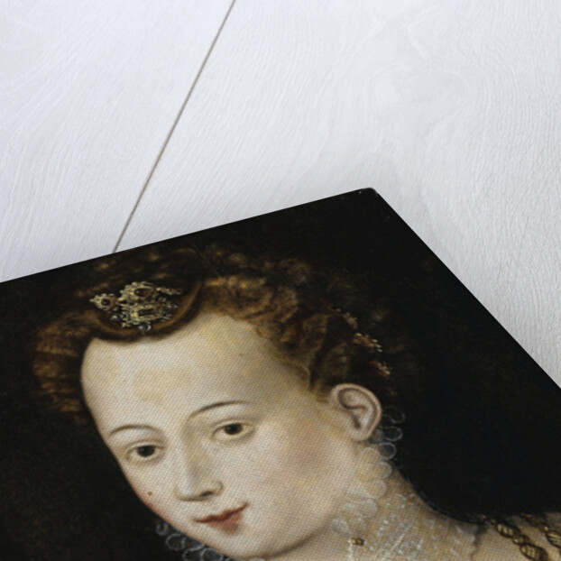 Portrait of a young lady. An Allegory of Beauty, c. 1580 by Anonymous